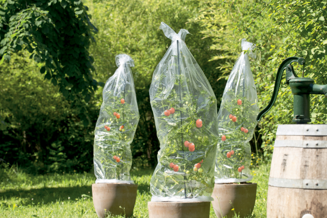 Fólie na rajčata FloraSelf (Zdroj: Hornbach)