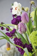 Barvami a tvary květin můžete uplatnit svoji kreativitu (Tulipa, Viburnum, Matthiola, Fritillaria, Narcissus)
