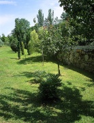 Výběr zajímavých dřevin svědčí o botanických znalostech majitelů