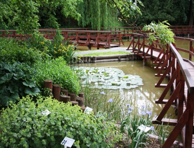 Víkend otevřených zahrad 2016: Arboretum Bílá Lhota