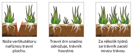 Po vertikutaci trávník houstne a je zdravější. (Zdroj: Mountfield)
