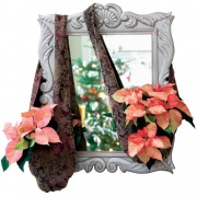 Když zavěsíte poinsettii do pruhů zajímavé látky na zrcadlo, uvidíte ji hned dvakrát. Také ji můžete originálně upevnit kravatou