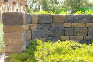 DITON WALL
