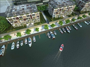 Dock Marina