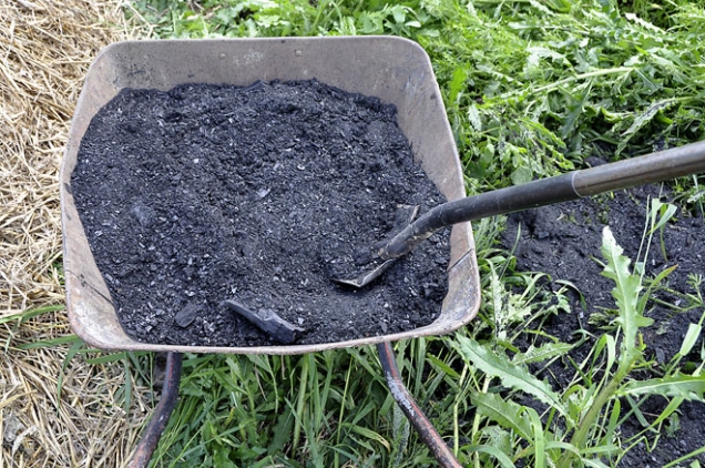 Drcené dřevěné uhlí, které v tomto případě aplikuji přímo na povrch půdy, na plevel, který bude hned poté důkladně přemulčován slamnatým koňským hnojem. Vzniká snadno nový záhon.