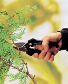 Kvalitní a cenově dostupné dvoučepelové zahradní nůžky na stříhání čerstvého dřeva. Cena 349 Kč (FISKARS)