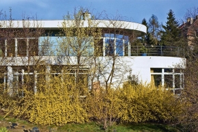 Na jaře vás vyláká na terasu rozkvetlá zlatice (Forsythia). Stačí jeden keř v blízkosti domu nebo vstupu