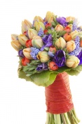 Kytice pro rozjásanou jarní svatbu - tulipány, modřence a pryskyřníky