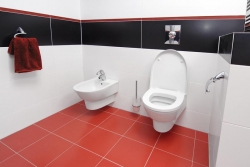 Závěsný bidet i klozet je oddělen od ostatních prostor koupelny nízkou vyzděnou příčkou