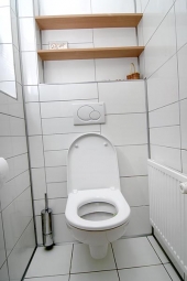 I když toaleta není součástí koupelny, je zařízena ve stejném charakteru