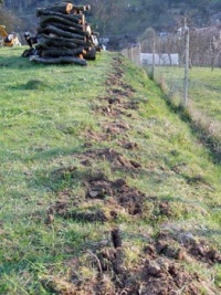 Pozemek, na němž bude stát Pavlův rodinný domek, je značně zanedbaný