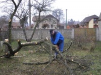 Teplé počasí umožnilo pracovat venku na zahradě už v průběhu února