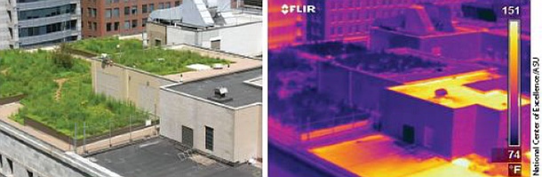Snímek z termokamery dokazuje, že zelená střecha je v letních měsících chladnější než běžná střecha.