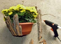 Květináč se žlutou chryzantémou (ale můžete použít i vřes, buxus, okrasnou kapustu apod.) začněte postupně oblepovat kůrou kolem dokola. Pomocí lepicí pistole naneste na kůru dostatečné množství roztavené hmoty, kůru silně přitiskněte ke květináči a držte, dokud lepidlo nezaschne. (Na průměr květináče 20 cm spotřebujete cca čtyři náboje do tavné pistole).