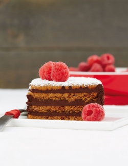 Lotus Biscoff a čokoládová terina