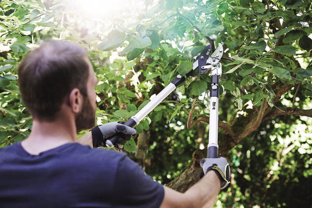 Ruční nůžky s kovadlinkou for_q se hodí i na zastřihování silnějších větví (HORNBACH) 
