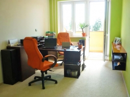 Rosťa si na pomoc se zařízením pracovny pozval designéra