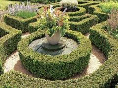 Buxus je s velkou pečlivostí stříhán do pravidelných obrazců