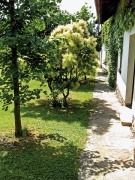 Všechny zahradní komunikace jsou dlážděny kamenem