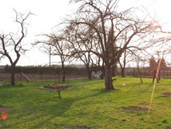 Na polovině pozemku (1 700 m²) jsou ovocné stromy a zbytek tvoří obytná a relaxační zóna