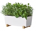 V jejím stylu: Kovový květináč na bylinky Bittergurka má bambusové nožky, 32 x 15 cm, www.ikea.cz