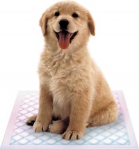 Savé podložky Puppy Field, 60 x 60 cm, cena 11,90 Kč/ks (ZOO BOHOUŠ)