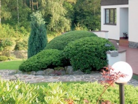 Rododendrony a borovice jsou řezány každý rok, jinak by už dávno zarostly chodník a obytnou terasu