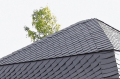 Krytina z přírodní břidlice může skvěle korespondovat s návratem k přírodním materiálům. Výhodou je i její yvsoká pružnost, která výrazně zvyšuje odolnost při případných deformacích střechy. Cena od 562 Kč za metr čtvereční bez DPH (Richter - Pizzaras)