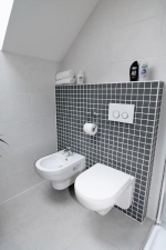 WC mísa a bidet jsou z kolekce Artic, cena 6 639 a 4 118 Kč bez DPH (GUSTAVSBERG)