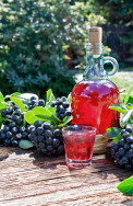 Temnoplodec černoplodý (Aronia melanocarpa) je známý jako černý jeřáb či prostě aronie. Jeho plody jsou ceněné pro vysoký obsah vitaminů. Těch si můžete užívat i několik měsíců, pokud z plodů připravíte nevařený sirup. Ke dvěma litrům plodů přidejte 80 g kyseliny citronové a 2 litry vody. Nechte dva dny stát, poté bobule vymačkejte a šťávu přeceďte. Na 1 litr šťávy přisypte 1 kg cukru a rozmíchejte. 