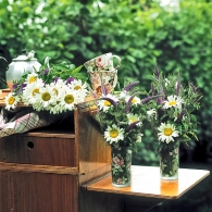 Fialovo-bílá prázdninová pohoda s kopretinami (Leucanthemum) a rozrazilem (Veronica) 