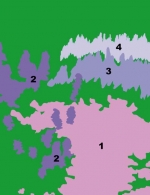 1 Kakost Endresiův (Geranium endressii), 2 Šanta (Nepeta kubanica), 3 Šanta kočičí (Nepeta x faassenii) , 4 Šanta (Nepeta subssesilis)