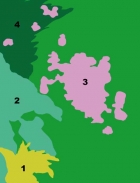 1 Kapraď (Dryopteris erythrosora), 2 Funkie (bohyška) Sieboldova (Hosta sieboldiana ´Elegans´), 3 Prvosenka (Primula bullesiana), 4 Sítina slatinná (Juncus subnodulosus) 