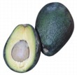  Avokádo (Persea americana) 