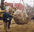  4. Umístění buku do zahrady (Fagus sylvatica 'Pendula'). Jde o strom, k jehož přepravě byl třeba policejní doprovod 