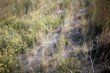  Geotextilie chrání svah i v místech, na kterých po výsevu nevyroste tráva 