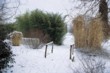  Můstek přes potok hlídá na jedné straně rozložitý trs bambusu (Pyhllostachys), na druhé straně podobně mohutná ozdobnice (Miscanthus sinensis) 