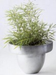  ... (průměr 29, v. 21 cm, průměr 30, v. 16 cm, průměr 32, v. 13 cm) od 3 773 do 5 082 Kč, KONSEPTI 