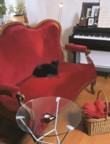 Jídelní kout není velký, ale stůl Penthalon Basic se nechá rozložit. K němu se dobře hodí židle Corte, provedení buk, čalounění ve smetanové barvě (vše Calligaris)