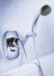  Podomítkovou baterii ze série Hansadisc (HANSA) koupíte v ceně: podomítkové těleso Hansavario od 4 214 Kč, sada pro konečnou montáž s přepíníním 3 175 Kč 
