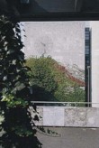 Některé architektonické návrhy dopředu počítají s barevným a strukturálním efektem použitých popínavých rostlin