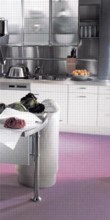  Pravé linoleum se dnes nabízí ve škále mnoha barev. Cena se pohybuje podle tloušťky od 600 do 700 Kč/m2, FORBO LINOLEUM 