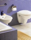 Závěsný bidet a WC Arriba, cena 8 620 Kč, WC 10 400 Kč, EUROBATH 