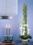  Bílá varianta z rodu Cymbidium vás obdaruje hrozny voskovitých květů, zde aranžovaná se stébly bambusu. Cena od 340 Kč, NATURALIA 