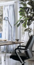 Styl soudobých kanceláří si žádá velké pokojové rostliny, které zde vystupují coby solitery.