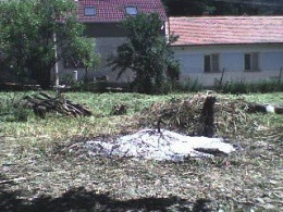 Pozemek Aneta koupila za 250 000 Kč