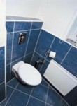  WC má zaoblený tvar, povrchová úprava aquaplaque, kapky stékají po keramice jako po vosku. Dále držák na štětku a toaletní papír 