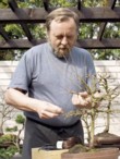  Miroslav Němec láskyplně tvaruje bonsaj 