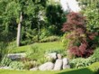  Nepřeberné množství tvarových a barevných kultivarů má japonský javor dlanitolistý (Acer palmaum). Některé jsou spíše nízkými keři, ale mnohé jsou menšími stromy, které ozdobí každou městskou zahradu. Na obrázku je jeden z nejoblíbenějších (A. palmatum Atropurpureum), vpravo kvete nenáročná kalina obecná (Viburnum opulus). Potřebují lehčí, mírně kyselé půdy a slunné nebo polostinné stanoviště 