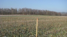Zahrada o rozloze 300-500 metrů čtverečních bude rozdělena na část užitkovou a část odpočinkovou